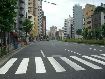 R1-48.jpg
