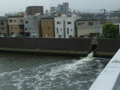 sinnoohasi56.jpg