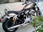 0086844cjpeg