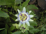 CA3A0122.JPG