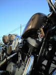 CA3A0222.JPG