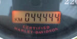 44444.jpg