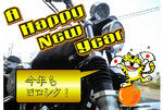 2010.1.1.jpg