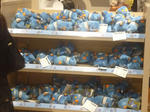 P1000034.JPG