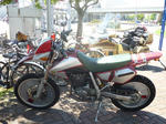 P1000203.JPG