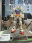 P1000267.JPG
