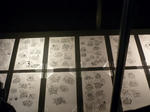 P1000273.JPG