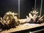 P1000289.JPG
