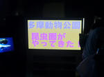 P1000305.JPG