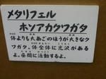 P1000309.JPG