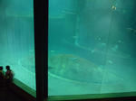 P1000319.JPG