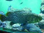 P1000333.JPG