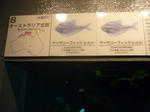 P1000338.JPG