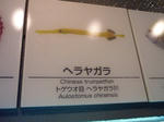 P1000340.JPG