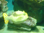 P1000355.JPG