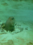 P1000360.JPG