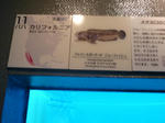 P1000361.JPG