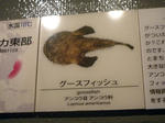 P1000377.JPG