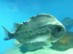 P1000378.JPG