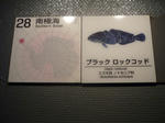 P1000390.JPG