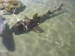 P1000421.JPG