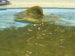 P1000423.JPG