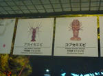 P1000429.JPG
