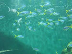 P1000430.JPG