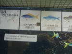 P1000432.JPG