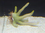 P1000436.JPG