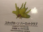 P1000440.JPG