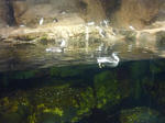 P1000447.JPG