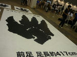 P1000452.JPG