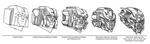 SS_Head_Evolution_Lo.jpg