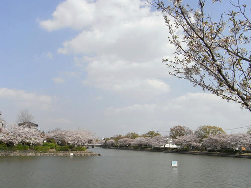 R0010200.jpg
