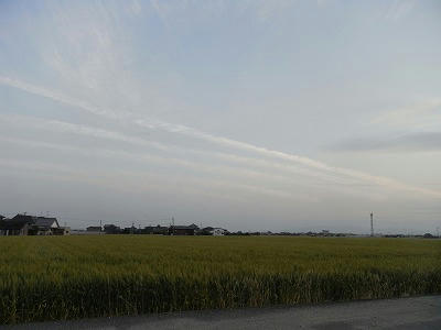 R0010469.jpg