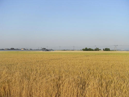 R0010586.jpg