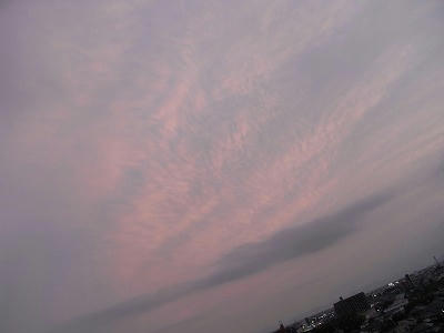R0011161.jpg