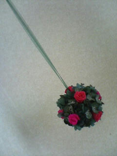 20090727155708.jpg