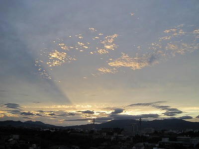 IMG_0790.jpg