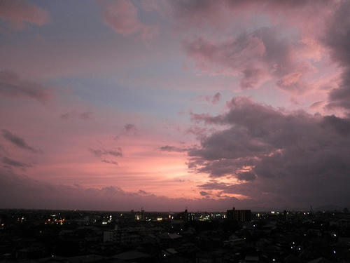 P8110251.jpg
