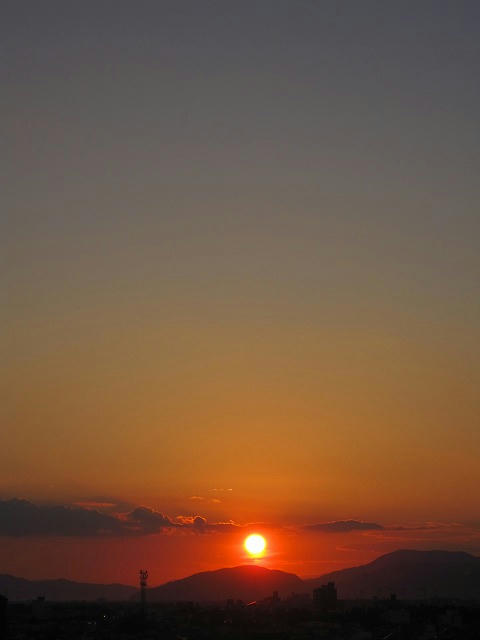 IMG_1053.jpg