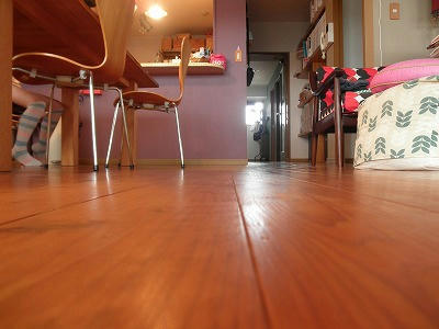 P6211345.jpg