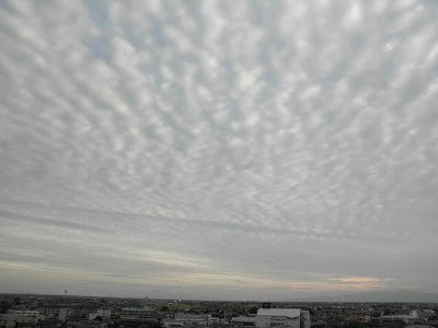 s-PA011816.jpg