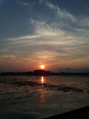 s-IMG00327.jpg
