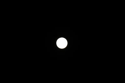 s-IMG_1466.jpg