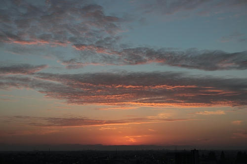 s-IMG_3174.jpg