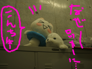 画像ファイル "http://blog.cnobi.jp/v1/blog/user/c7c26b20caea26a38378690a0ba9a6e0/1211816409" は壊れているため、表示できませんでした。