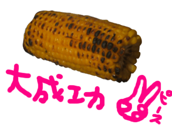 画像ファイル "http://blog.cnobi.jp/v1/blog/user/c7c26b20caea26a38378690a0ba9a6e0/1218802231" は壊れているため、表示できませんでした。