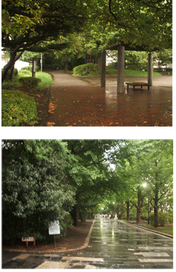 画像ファイル "http://blog.cnobi.jp/v1/blog/user/c7c26b20caea26a38378690a0ba9a6e0/1218888708" は壊れているため、表示できませんでした。
